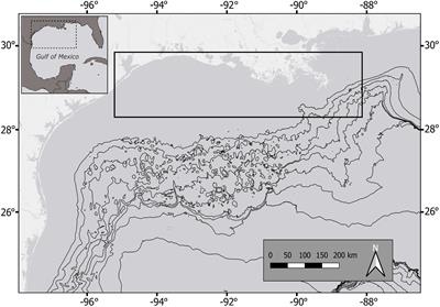 Ontogenetic Patterns of Elemental Tracers in the Vertebrae Cartilage of Coastal and Oceanic Sharks